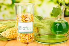Christon biofuel availability